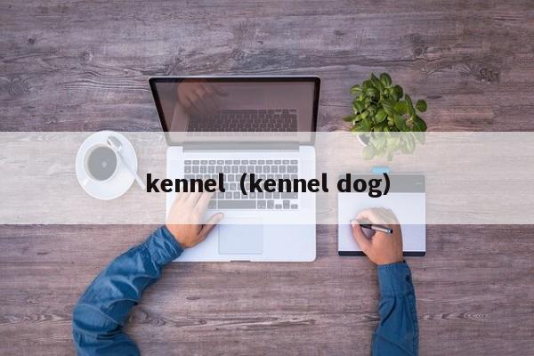 kennel(kennel dog)